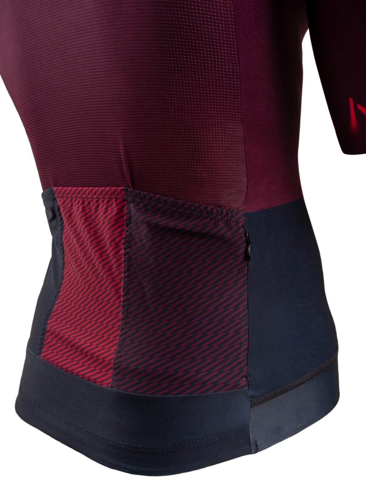 282_Borgona_marino_d